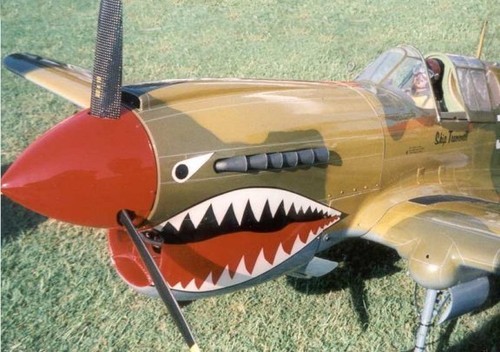 Scale wwii p40 - ,