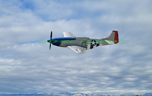 Mustang giant scale 98 - giant, 98"